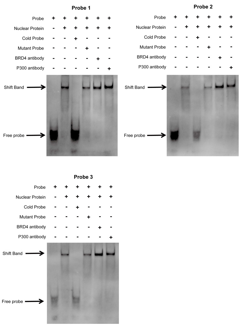 Figure 9