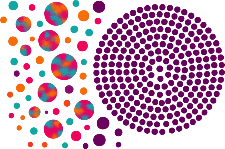 Figure 1: Convergence and Conformity