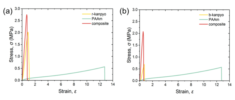 Figure 13