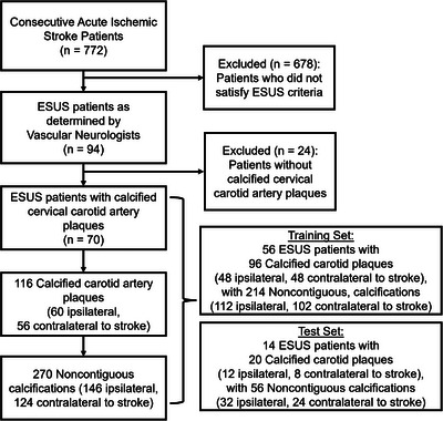 FIGURE 1