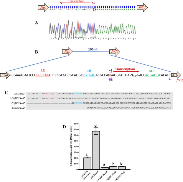 Fig 4