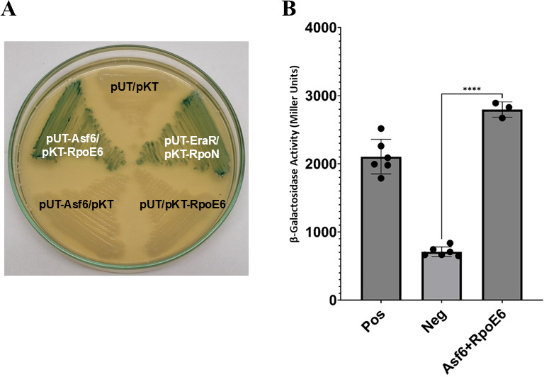 Fig 10