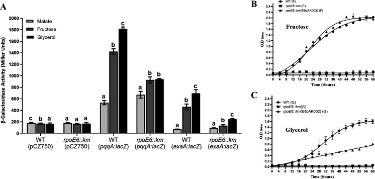 Fig 11