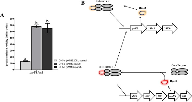 Fig 12
