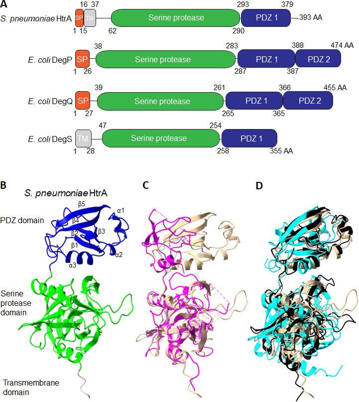 Fig 2