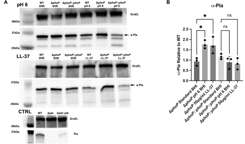 Fig 5