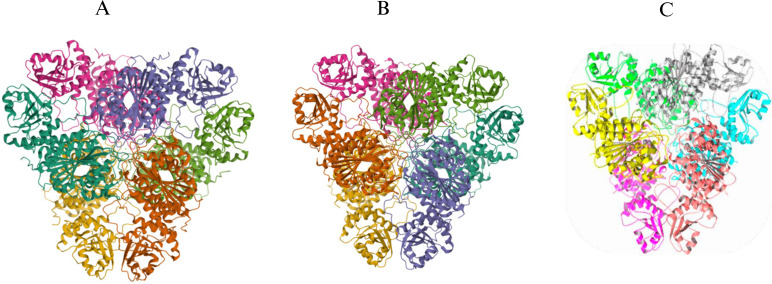 Fig 1