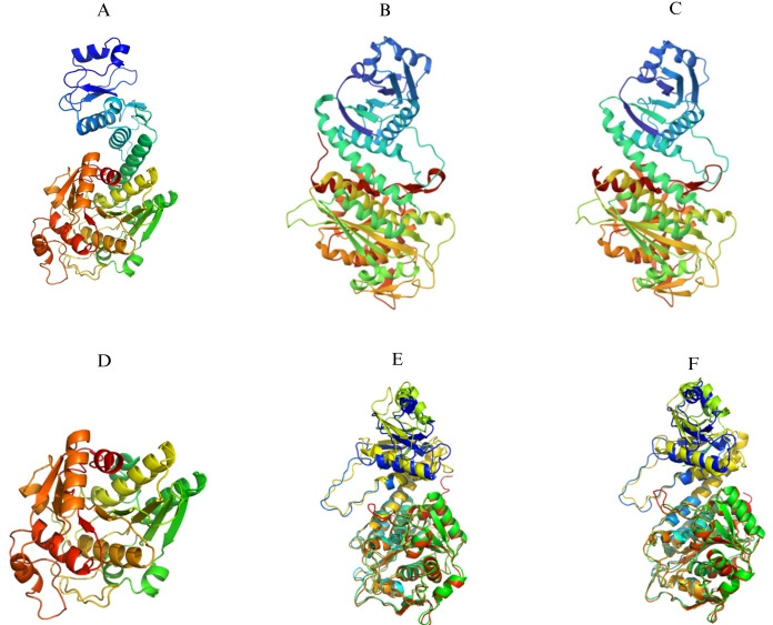 Fig 3