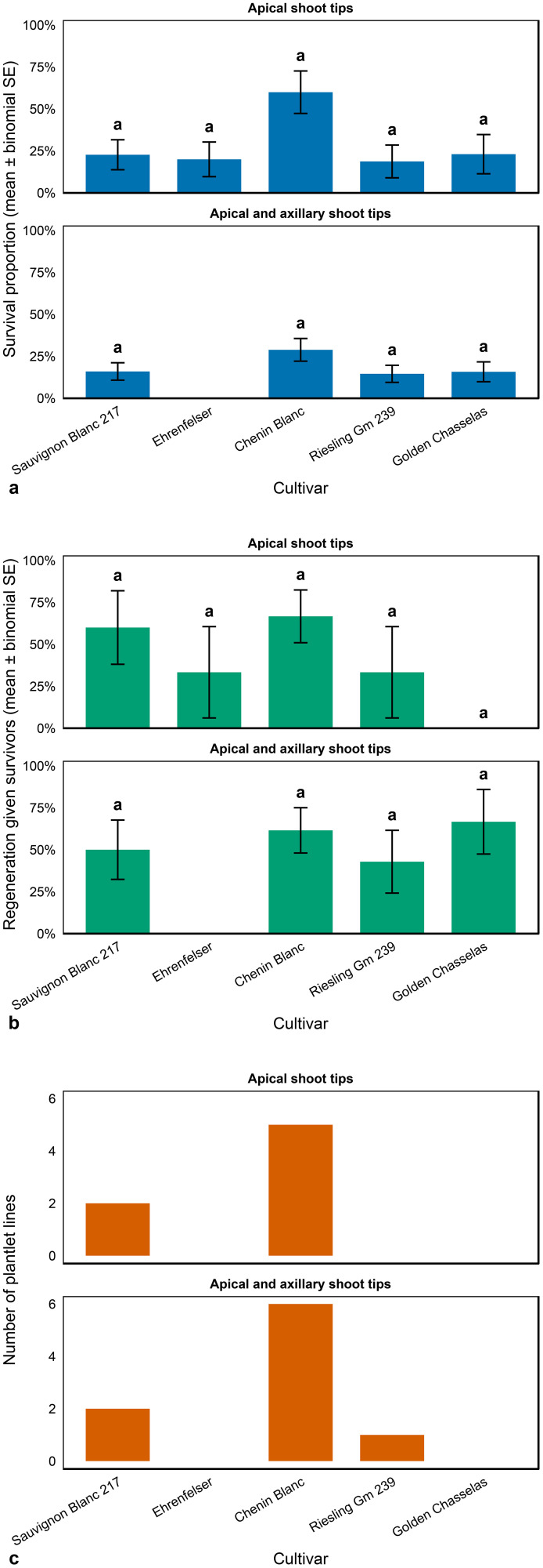 Figure 5