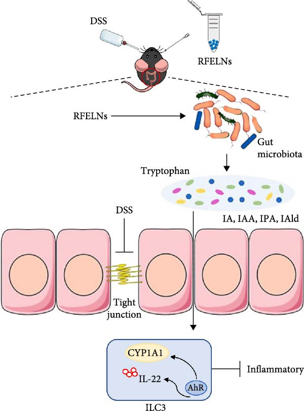 Figure 10