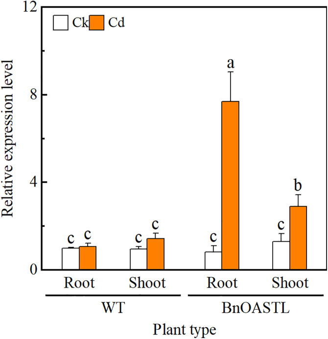Fig 6