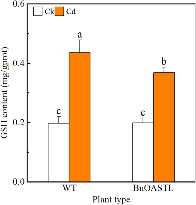 Fig 8