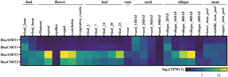 Fig 6
