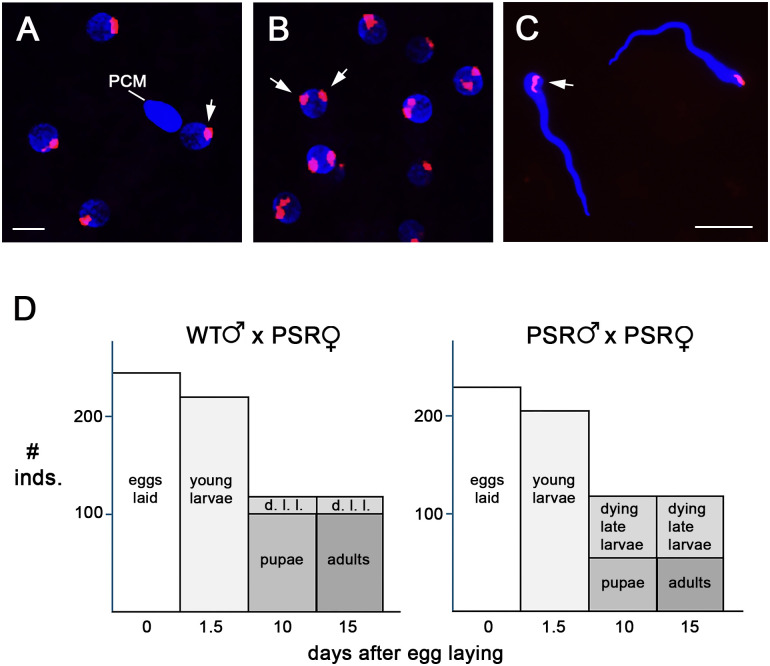 Fig 4