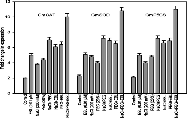 Figure 11
