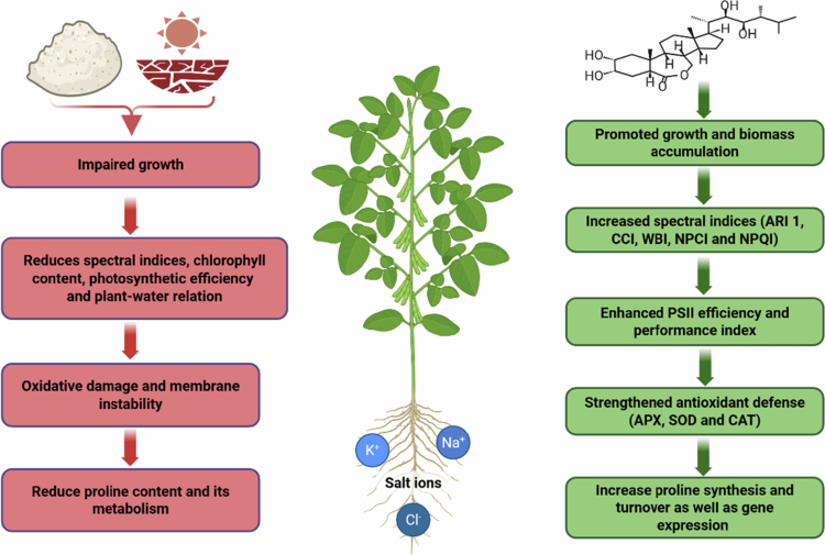 Figure 12