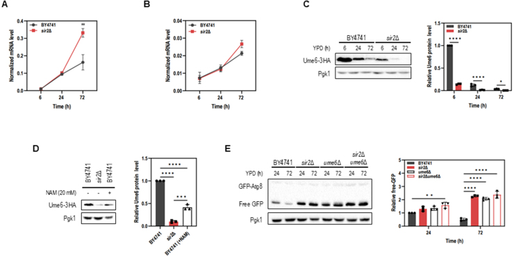 Figure 4