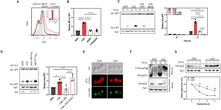 Figure 6