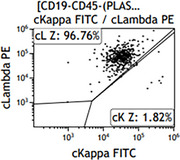 FIGURE 11