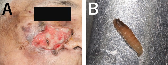 FIGURE 3