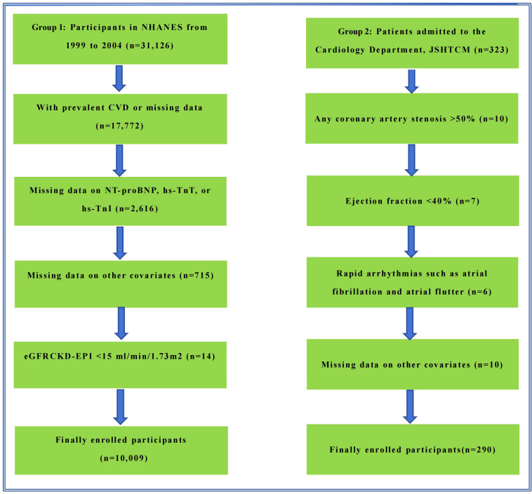 Figure 1