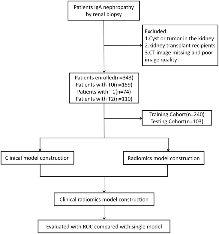 Figure 1