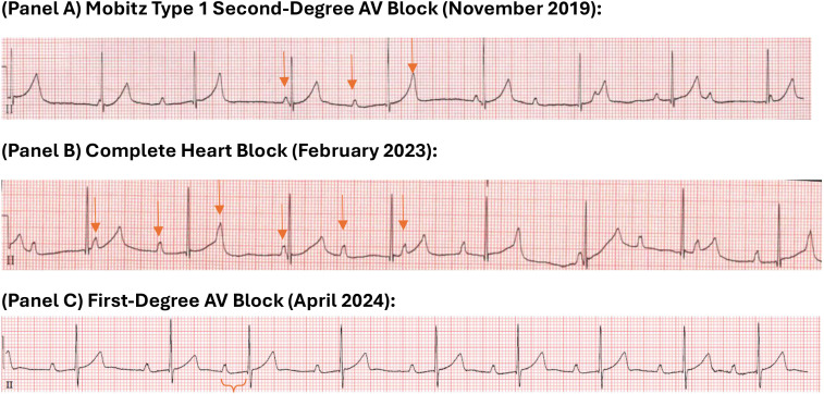 Figure 1