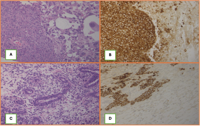 FFigure 3