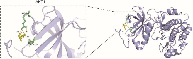 FIGURE 6