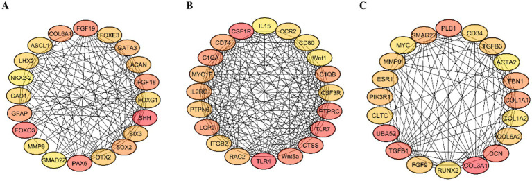 Figure 6