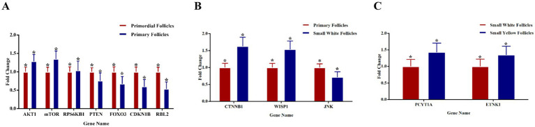 Figure 7