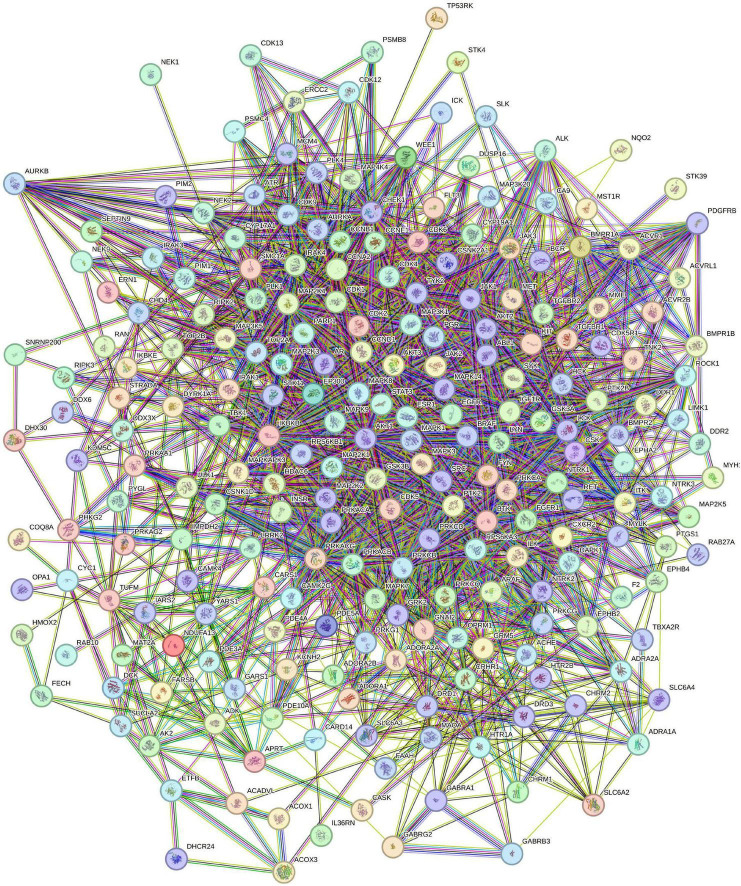 FIGURE 3