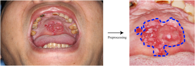 Figure 4