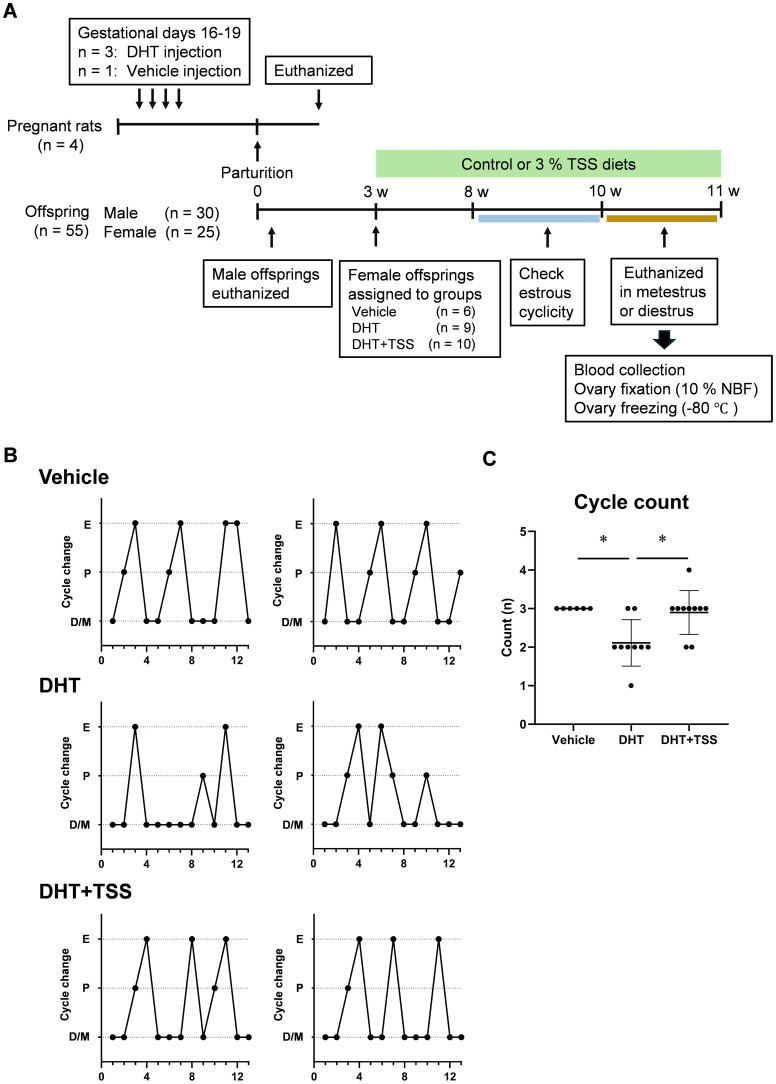 Figure 1