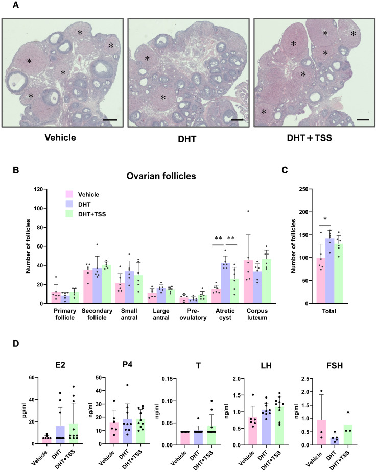 Figure 2