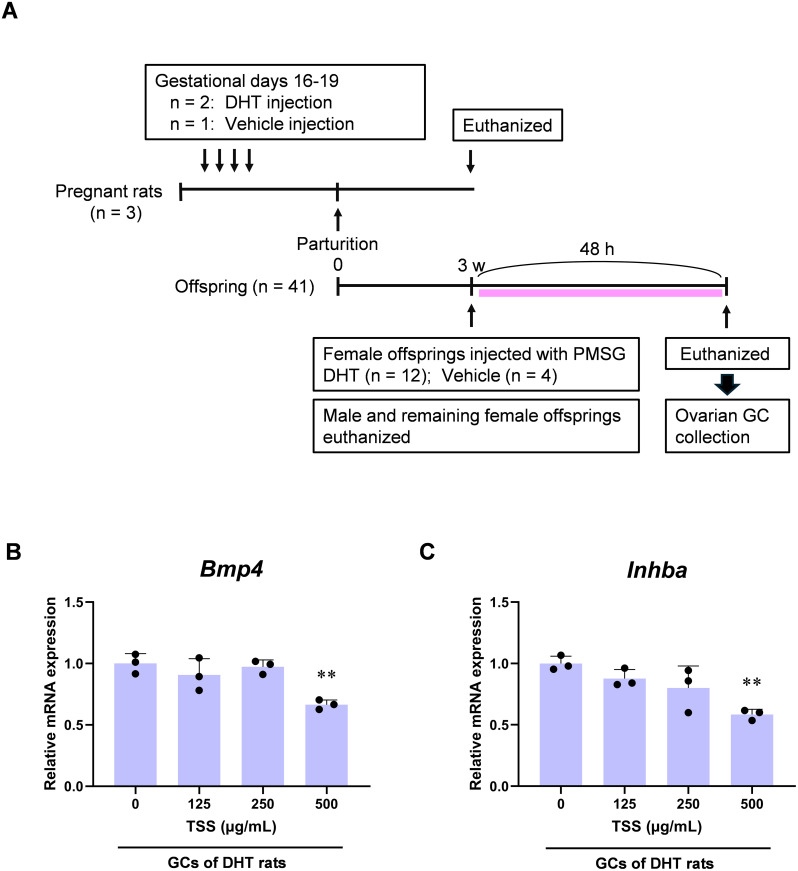 Figure 6