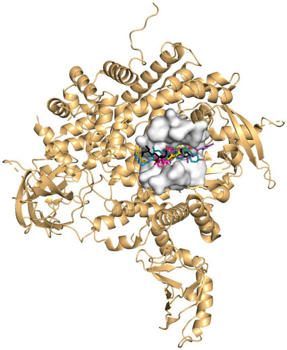 Figure 3