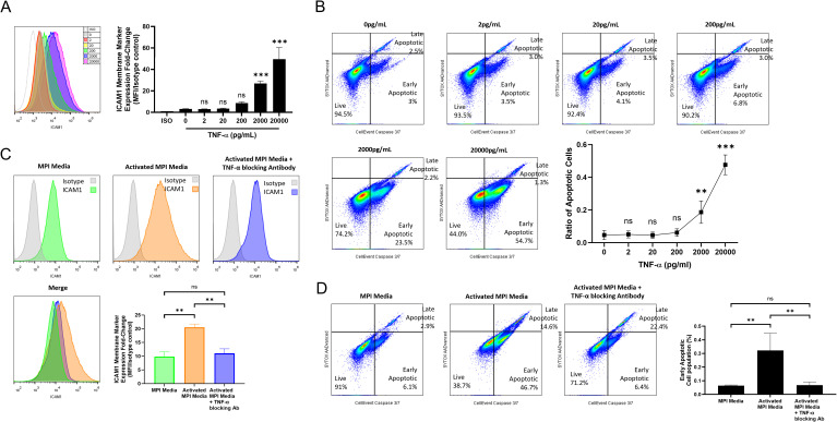 Figure 6