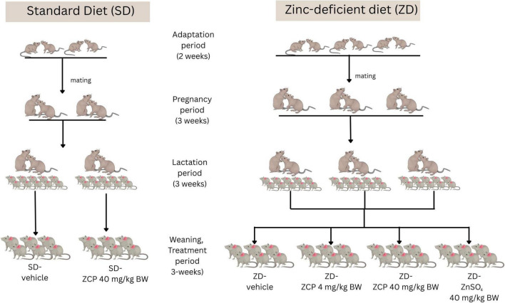 FIGURE 1