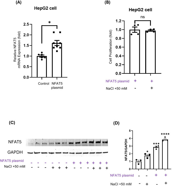Figure 5