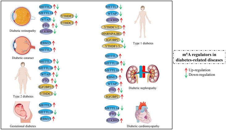 Figure 1