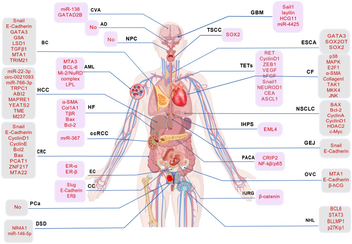 Figure 3