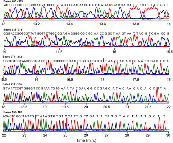 FIGURE 3
