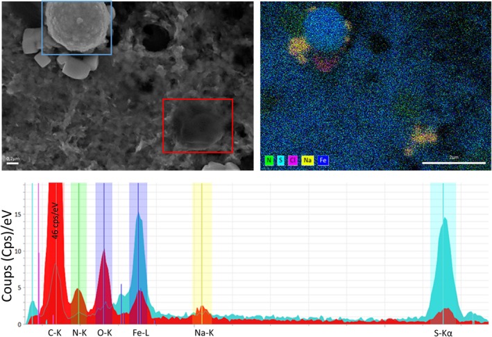 FIGURE 4