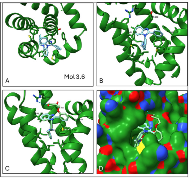 Figure 7