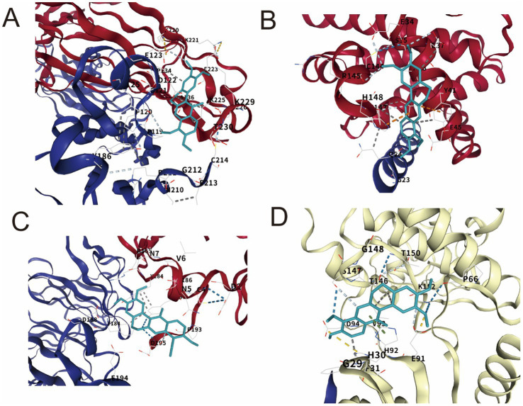 Figure 5