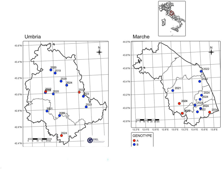 Figure 6