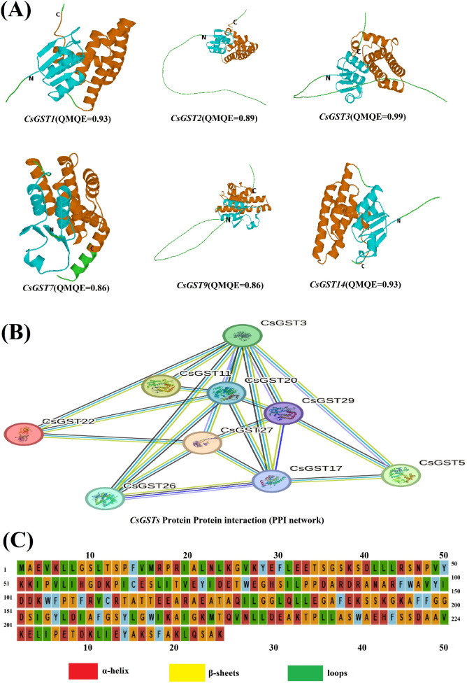 Figure 7