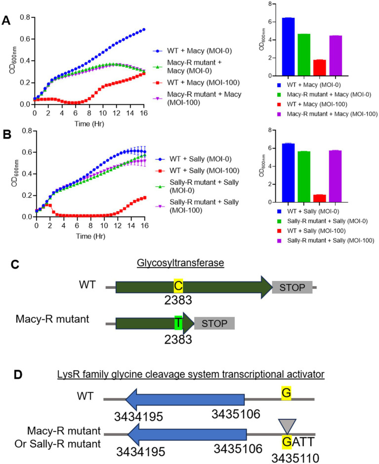 Figure 10