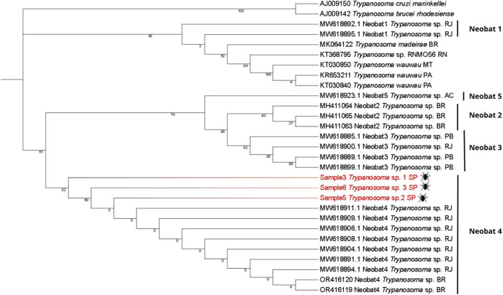 Figure 4